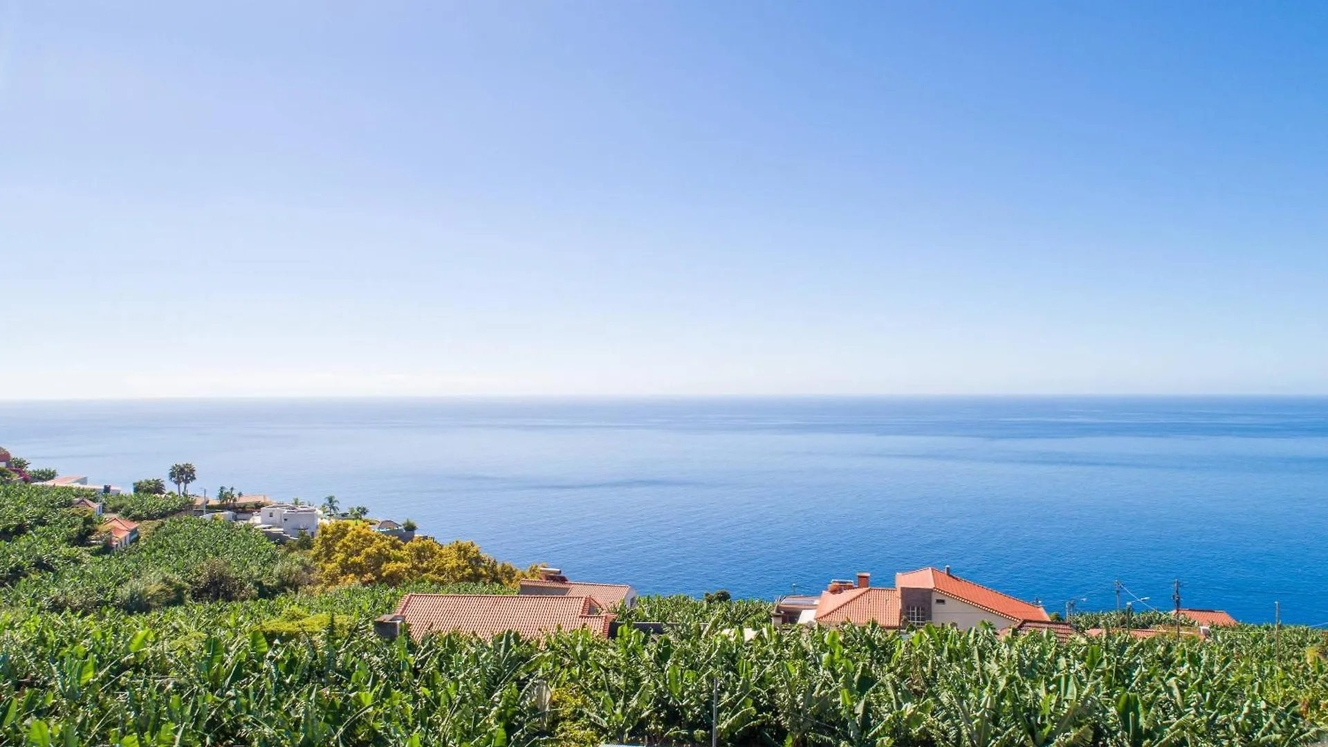 Jacinta Guest House Ground Floor Funchal