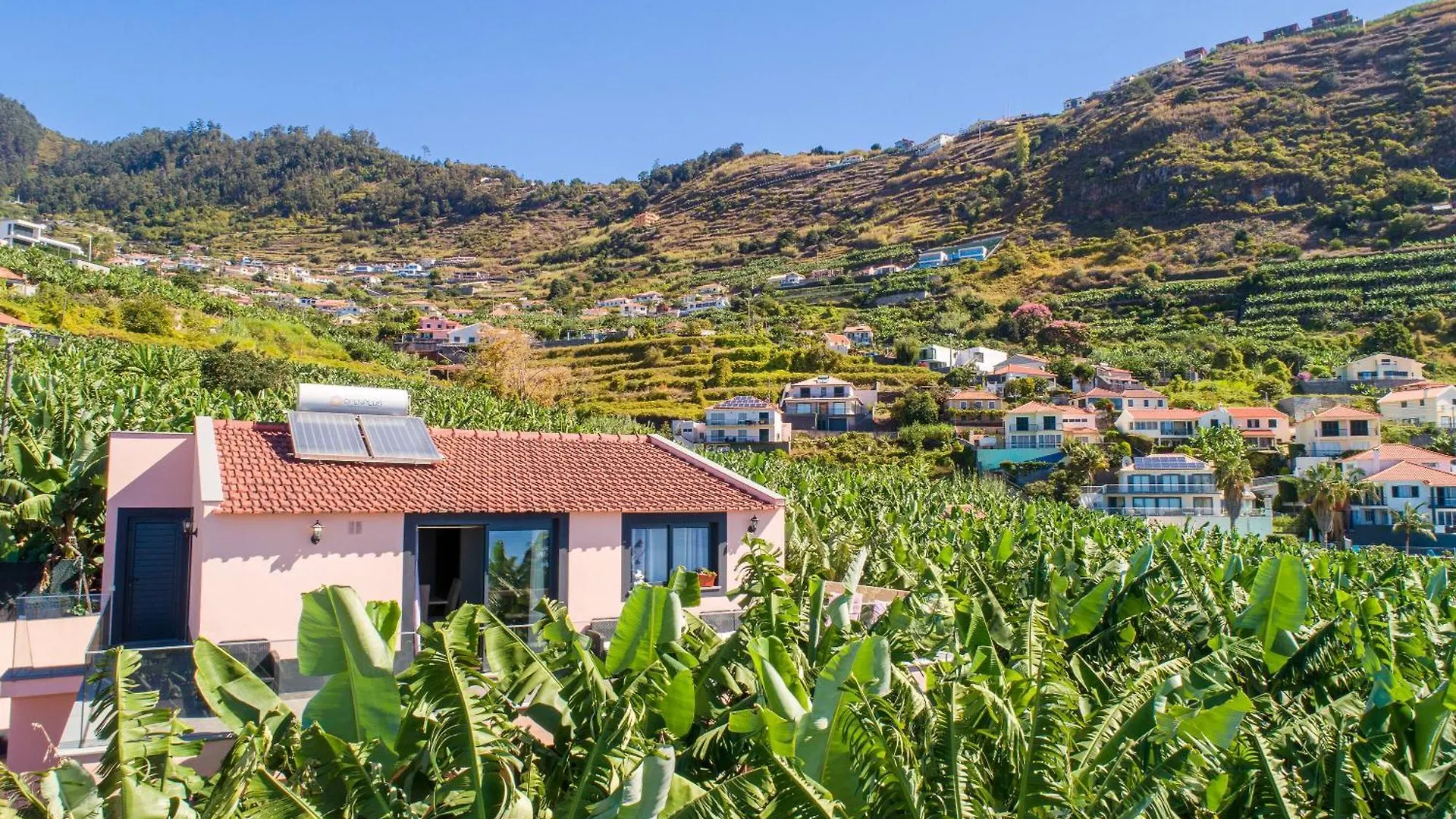 Semesterbostad Jacinta Guest House Ground Floor Funchal